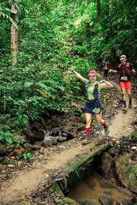 BIB: 
                            <button type="button" onclick="openModal(24682816)" class="btn btn-primary btn-sm float-right btn-popup" data-toggle="modal" data-target=".modal-high-quality">
                        <i class="fas fa-shopping-cart"></i> Add to Cart
                    </button>
                                            <button type="button" onclick="isThisMe(24682816, true)" class="btn btn-success btn-sm float-right btn-popup btn-isme hidden" data-toggle="tooltip" data-placement="bottom" title="นี่คือรูปของคุณใช่ไหม คลิกที่นี่เพื่อเอาเข้าอัลบั้ม">
                        <i class="fas fa-plus"></i> Add to album
                    </button>
                    <button type="button" onclick="isThisMe(24682816, false)" class="btn btn-warning btn-sm float-right btn-popup btn-isnotme hidden">
                        <i class="fas fa-ban"></i> Remove from album
                    </button>